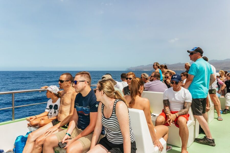 Gran Canaria: Dolphin and Whale Watching Cruise - Guides who keep the trip lively