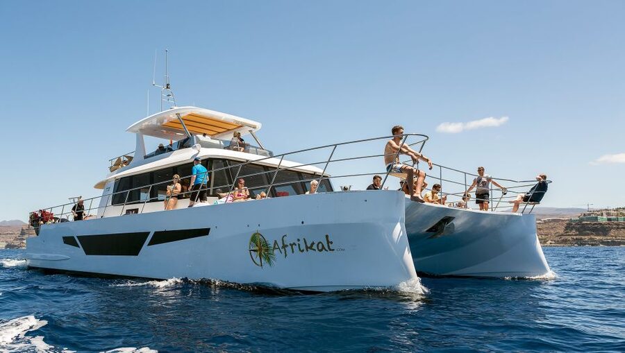 Gran Canaria: Fun Catamaran Cruise with Food and Drinks - What Makes This Cruise Worth Considering