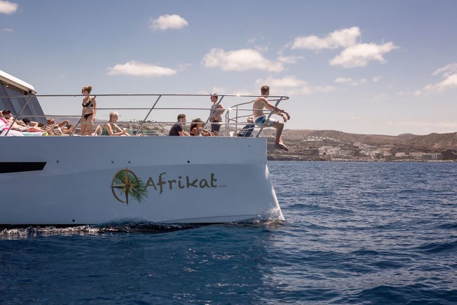 Gran Canaria: Fun Catamaran Cruise with Food and Drinks - Comfort, Safety, and Accessibility