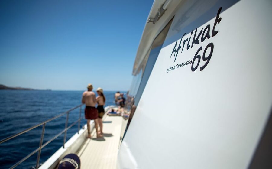 Gran Canaria: Fun Catamaran Cruise with Food and Drinks - Practical Tips for a Better Day