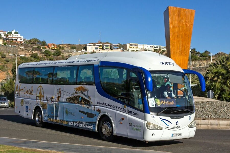 Gran Canaria: Fun Catamaran Cruise with Food and Drinks - The Catamaran Ride Along Gran Canaria’s Southwest Coast