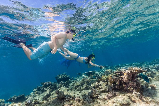 Great Barrier Reef Snorkeling and Diving Cruise from Cairns - Barbecue lunch with a view