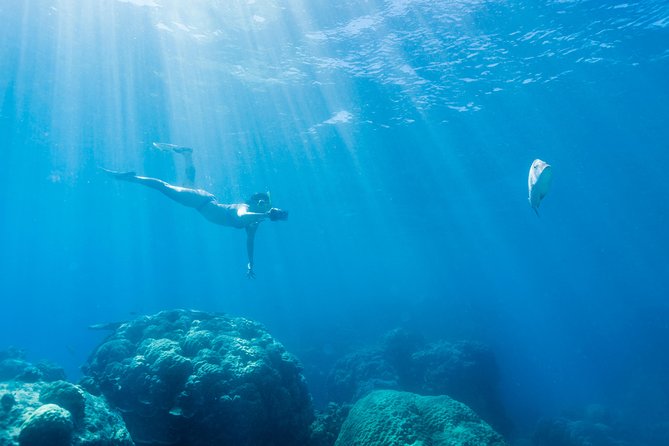 Great Barrier Reef Snorkeling and Diving Cruise from Cairns - Hastings Reef and the second chance in the water