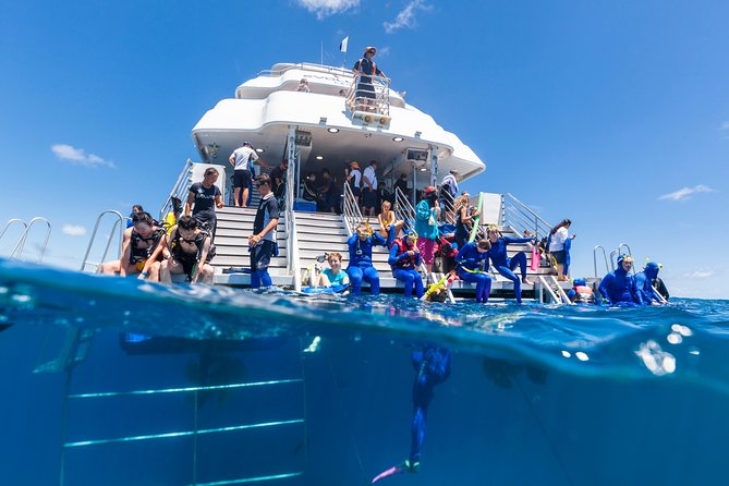 Great Barrier Reef Snorkeling and Diving Cruise from Cairns - Checking in at Cairns waterfront