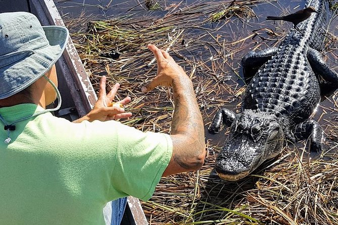 Half-day Everglades National Park Tour and 1-Hour Air Boat Ride - The early pickup from Miami and Fort Lauderdale