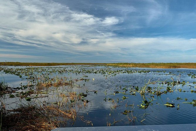 Half-day Everglades National Park Tour and 1-Hour Air Boat Ride - The one-hour Miccosukee airboat ride