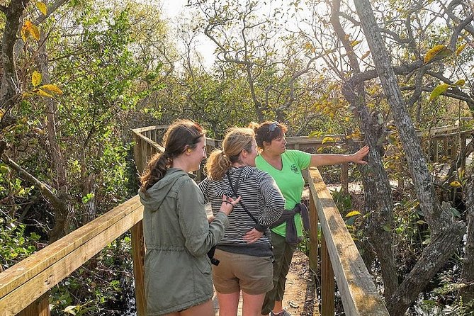 Half-day Everglades National Park Tour and 1-Hour Air Boat Ride - Guides make or break this tour