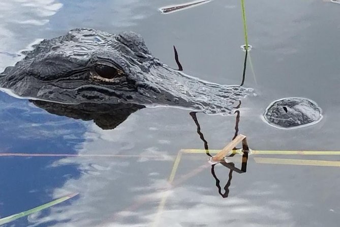 Half-day Everglades National Park Tour and 1-Hour Air Boat Ride - Walking through Everglades National Park