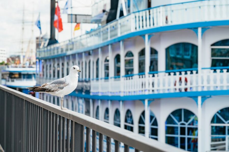 Hamburg: 1-Hour Harbor Sightseeing Cruise with HafenCity - From St. Pauli Piers into the Elbe