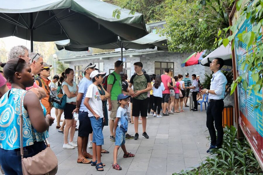 Hanoi: Islands & Caves Ha Long Cruise with Lunch & Kayaking - Who should book this day on the bay?