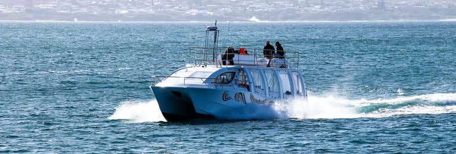 Hermanus: Boat Based Whale Watching Experience - Who will enjoy this cruise most?