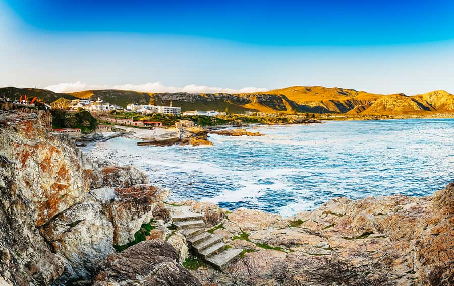 Hermanus: Whale and Dolphin Watching Boat Trip - Who should book this cruise?