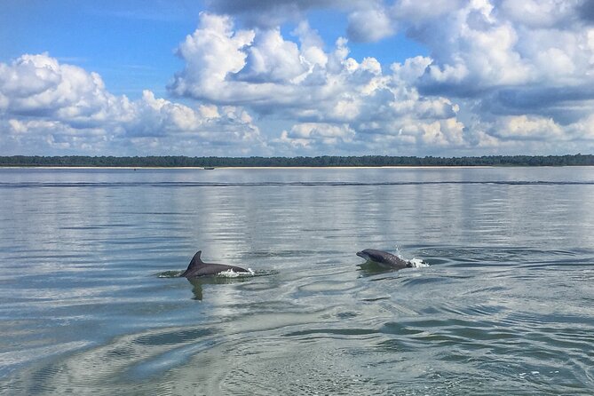 Hilton Head Island Dolphin Boat Cruise - Key points to know before booking