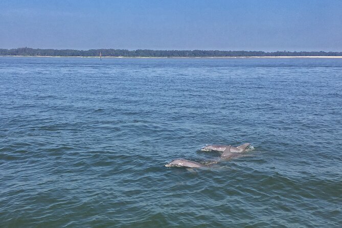 Hilton Head Island Dolphin Boat Cruise - Setting out from Palmetto Bay Marina