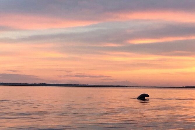 Hilton Head Island Dolphin Boat Cruise - The crew brings humor and local detail