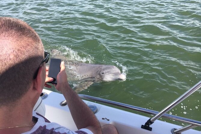 Hilton Head Island Dolphin Boat Cruise - Is $39.99 a good value?