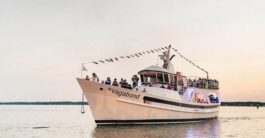 Hilton Head Island: Sunset Dolphin Cruise - Key details before you book