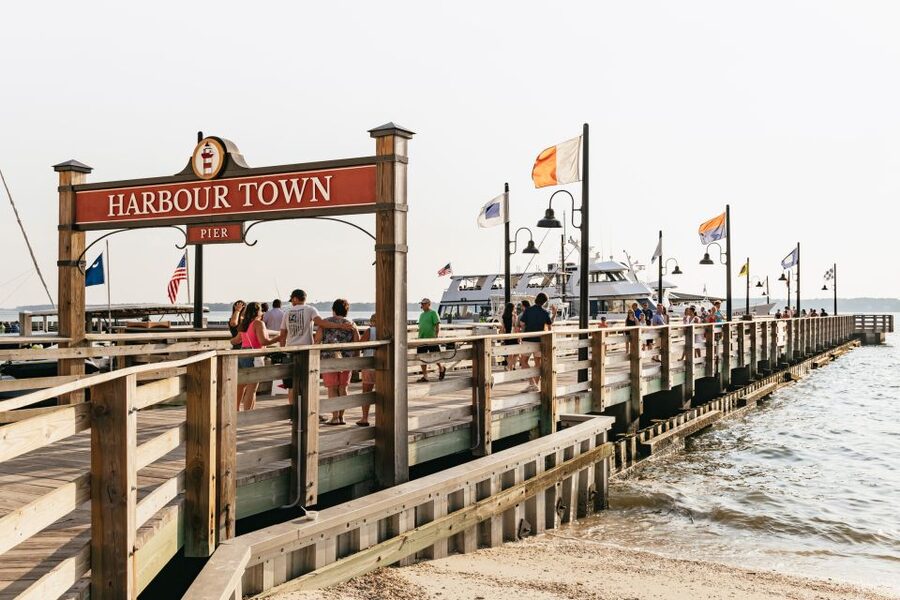 Hilton Head Island: Sunset Dolphin Cruise - Should you book the Hilton Head Sunset Dolphin Cruise?