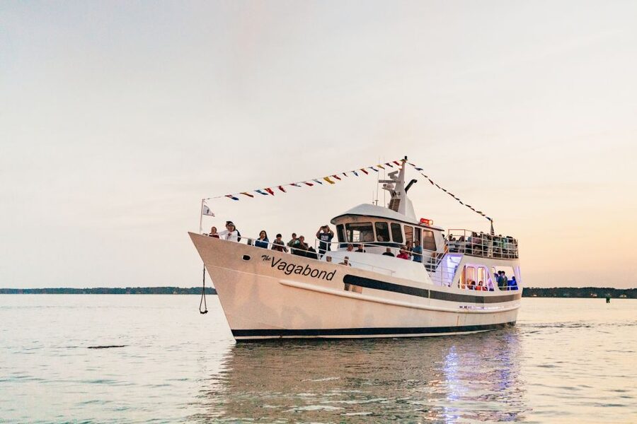 Hilton Head Island: Sunset Dolphin Cruise - Up Bull Creek toward Dolphin Hole
