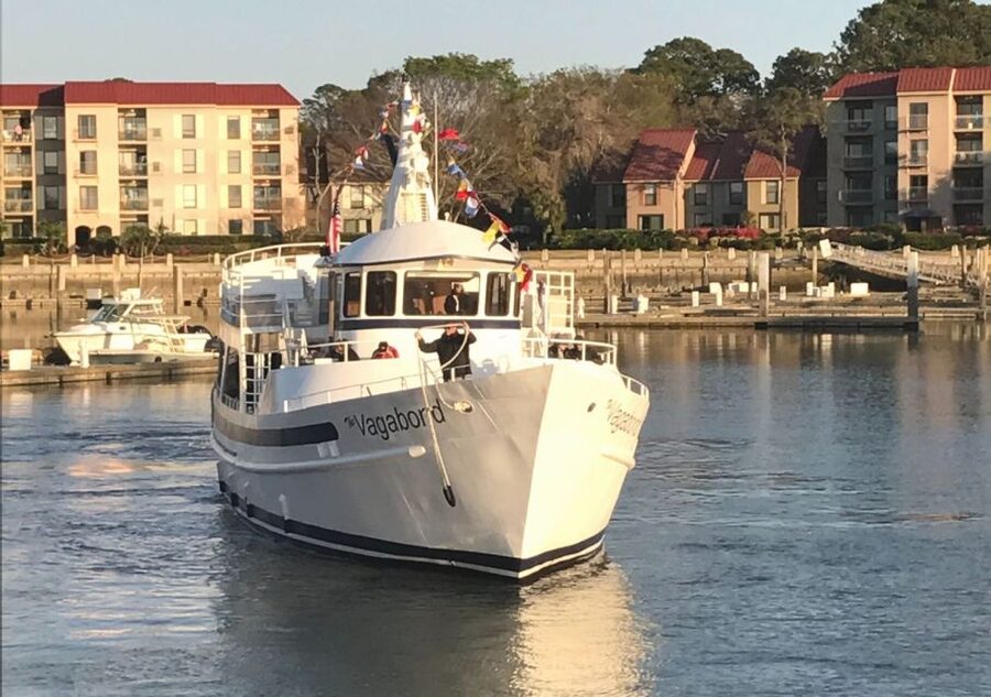 Hilton Head Island: Sunset Dolphin Cruise - Who will enjoy this cruise most?