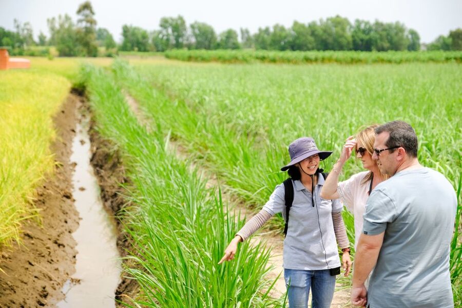 Ho Chi Minh City: Mekong Delta Full-Day Speedboat Tour - Cao Dai temple and local religious life