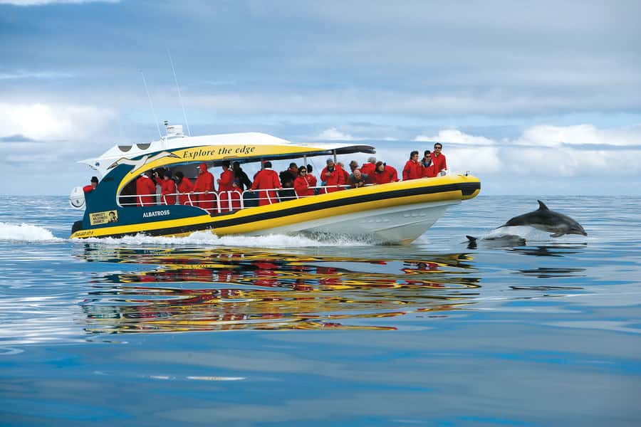 Hobart: Bruny Island Wilderness Coast Eco Cruise with Lunch - Why this Bruny Island day trip works