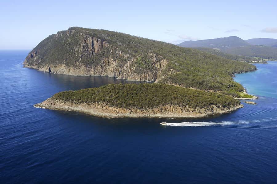 Hobart: Bruny Island Wilderness Coast Eco Cruise with Lunch - The Adventure Bay wilderness cruise