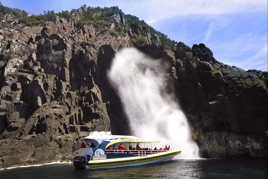Hobart: Bruny Island Wilderness Coast Eco Cruise with Lunch - Friar Rocks, fur seals, and the search for wildlife
