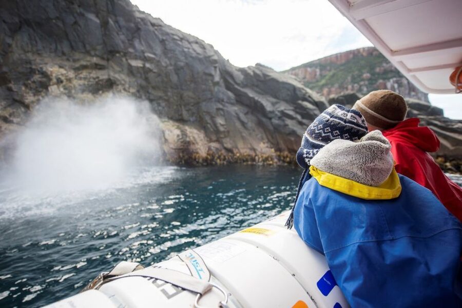Hobart: Bruny Island Wilderness Coast Eco Cruise with Lunch - Breathing Rock and Bruny’s sea caves