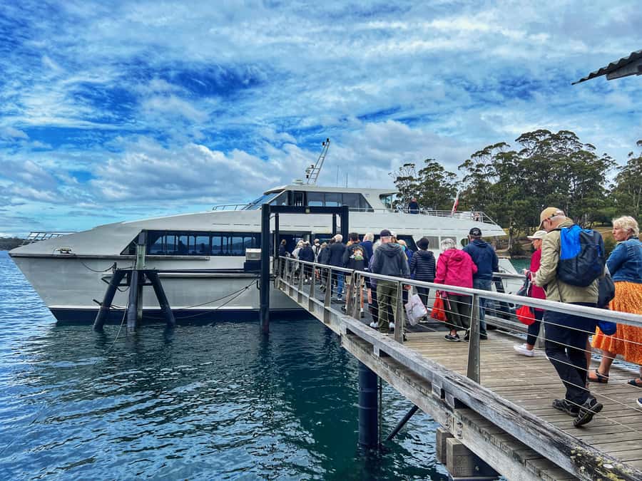 Hobart: Port Arthur & Tasman Park Full-Day Trip with Cruise - Practical advice for a smoother day