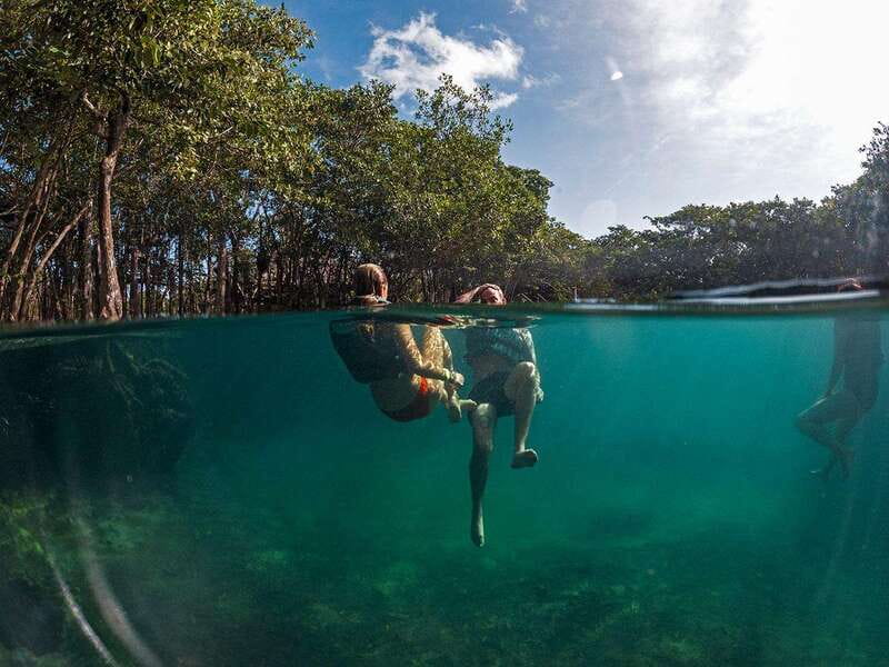 Holbox: Yum Balam Reserve Classic Boat Tour - Three hours across Yum Balam’s coastal world
