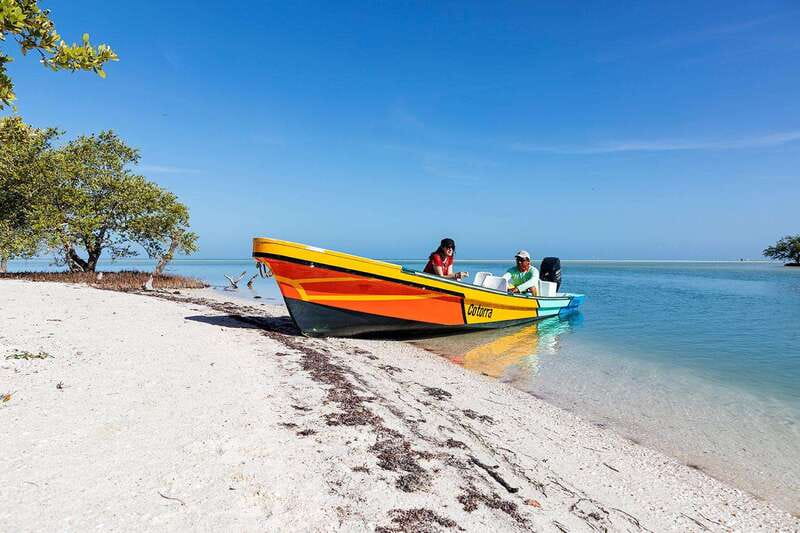 Holbox: Yum Balam Reserve Classic Boat Tour - Bird Island and Passion Island: different kinds of birdwatching