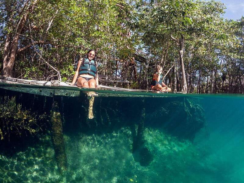 Holbox: Yum Balam Reserve Classic Boat Tour - Punta Mosquito: the stop that depends on the day