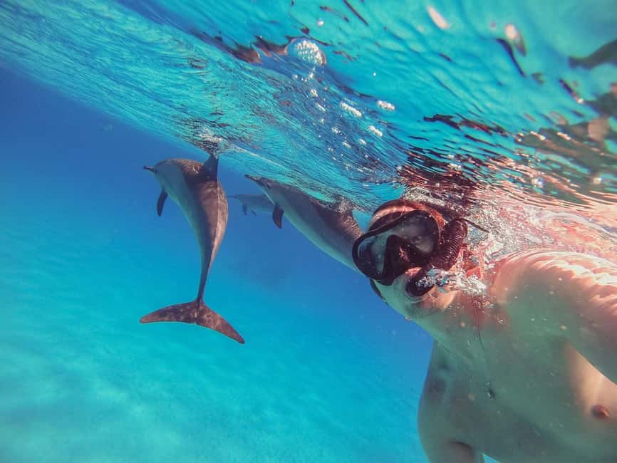 Hurghada: Dolphin Watching Boat Tour with Snorkeling & Lunch - Starting at Hurghada’s Public Beach Number 9