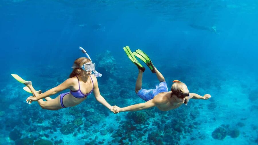 Hurghada: Dolphin Watching Boat Tour with Snorkeling & Lunch - How the crew handles safety and marine life