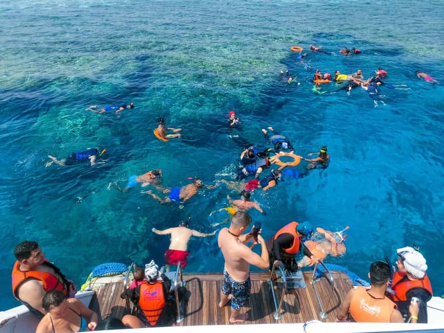Hurghada: Dolphin Watching Boat Tour with Snorkeling & Lunch - Who will enjoy this boat tour most?