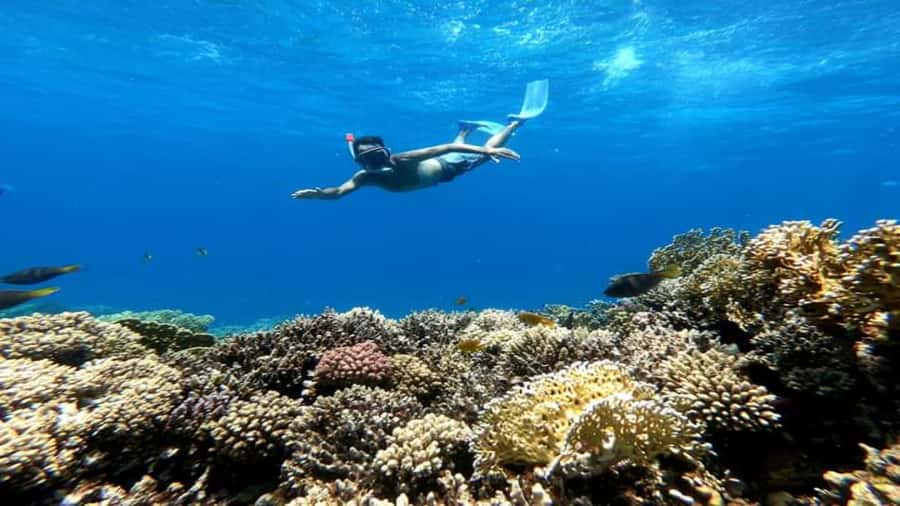 Hurghada: Luxury Cruise Trip to Orange Bay with Lunch - Lunch on board, with simple filling choices