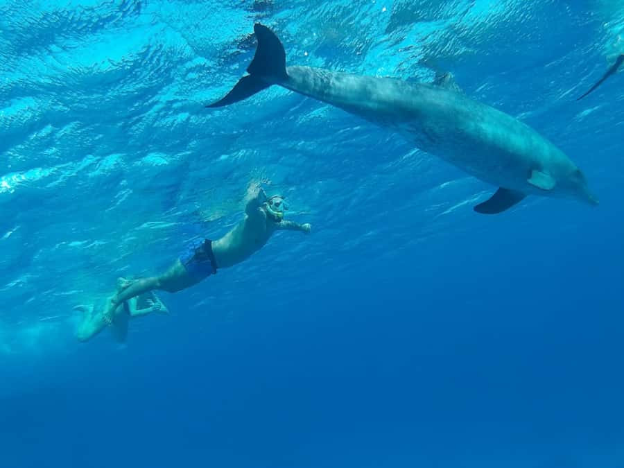 Hurghada: Luxury Cruise Trip to Orange Bay with Lunch - A second reef at Jazīrat Abū Rimāthī