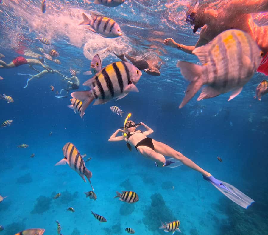Hurghada: Orange Bay Island Boat Trip w/ Breakfast and Lunch - Lunch and the short trip to Orange Bay