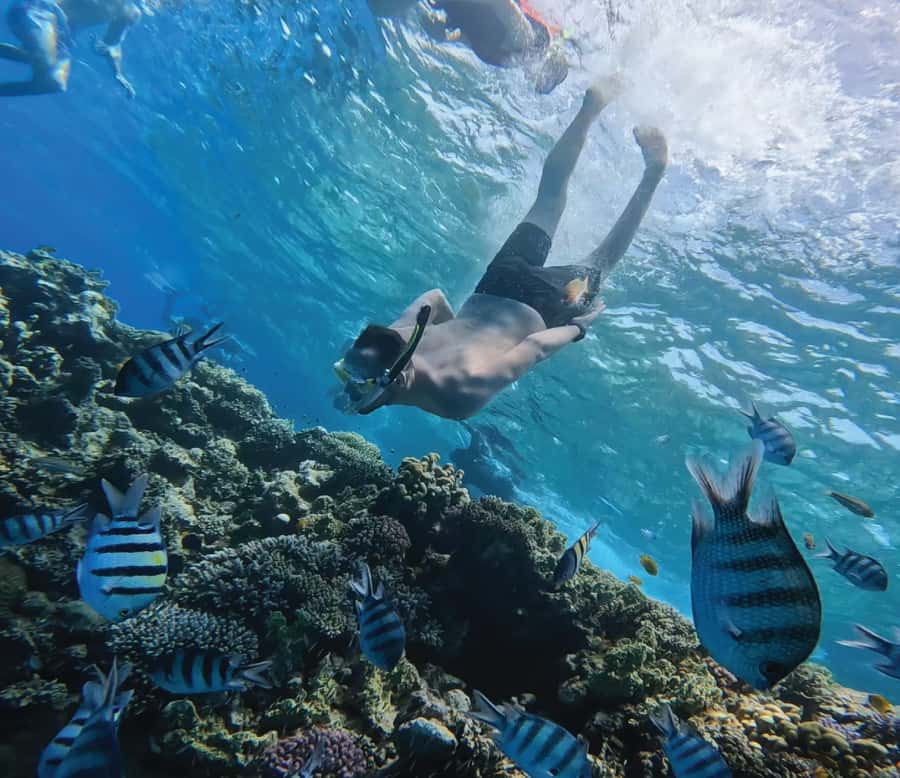 Hurghada: Premium Orange Island Cruise with Lunch & Transfer - Orange Bay and its two-hour island pause