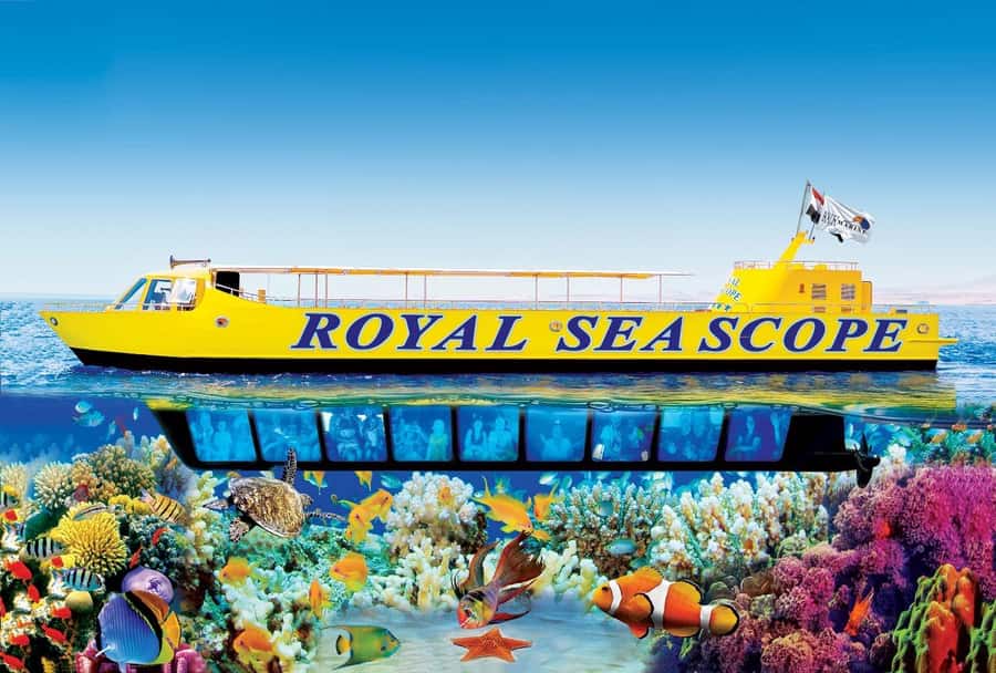 Hurghada: Royal Seascope Submarine Cruise with Snorkel Stop - What the semi-submarine really is