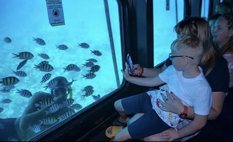 Hurghada: Royal Seascope Submarine Cruise with Snorkel Stop - What the crew does well