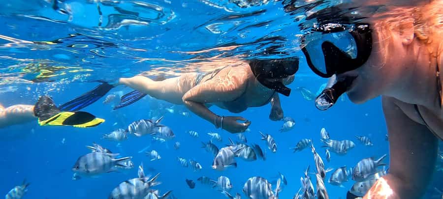 Hurghada: White Island Speedboat Tour, Snorkeling, & Lunch - What the $180 price really includes
