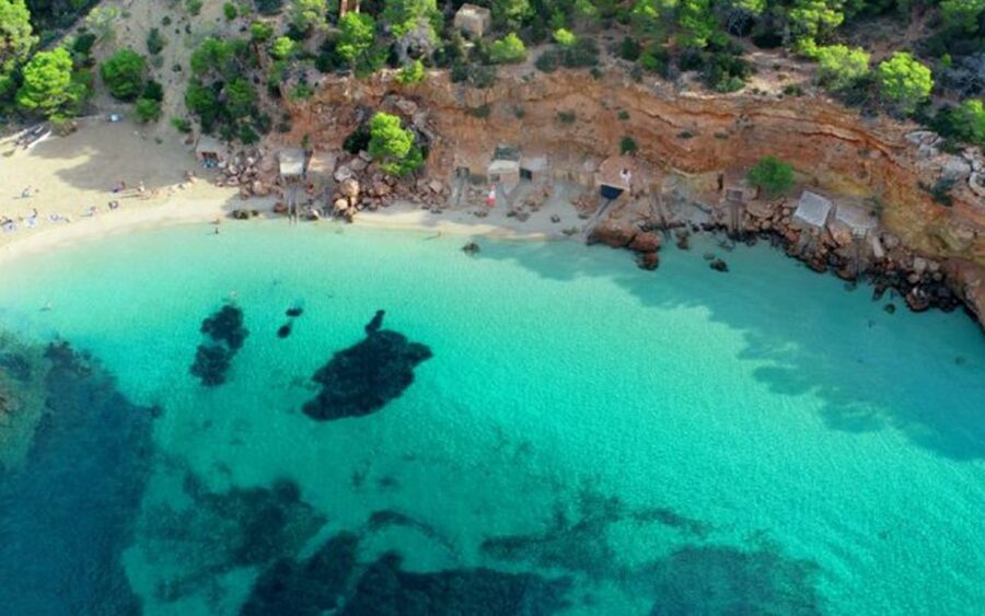 Ibiza: Cala Salada & North Cruise with Drinks & Snorkeling - Who will enjoy this cruise most