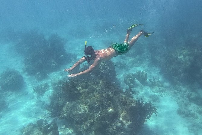 Icacos Deserted Island Catamaran, Snorkel, and Picnic Cruise - Included drinks and the social mood