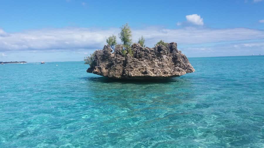 Île aux Bénitiers: Snorkeling w/Dolphins Boat Tour & Lunch - Is the $115 Price Good Value?