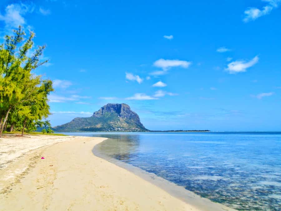 Île aux Bénitiers: Snorkeling w/Dolphins Boat Tour & Lunch - What to Pack for a Better Day