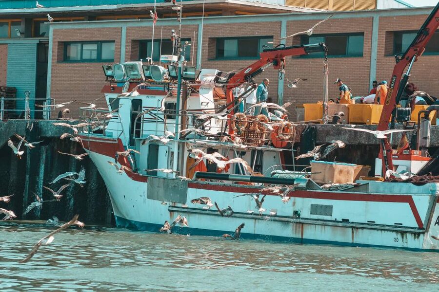 Isla Cristina/Isla Canela: Boat Trip Through the Marshes - Starting at Isla Cristina’s Fishing Port