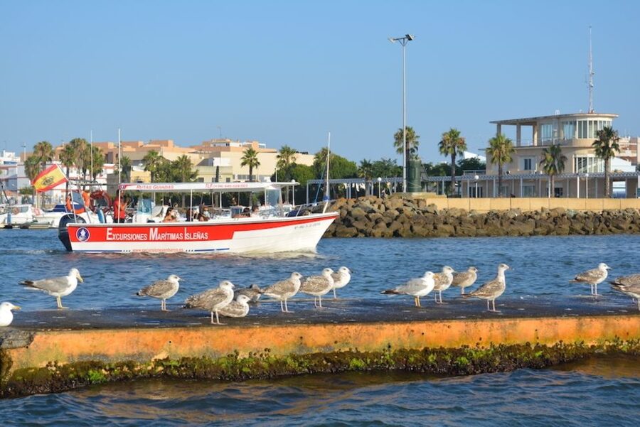 Isla Cristina/Isla Canela: Boat Trip Through the Marshes - FAQ
