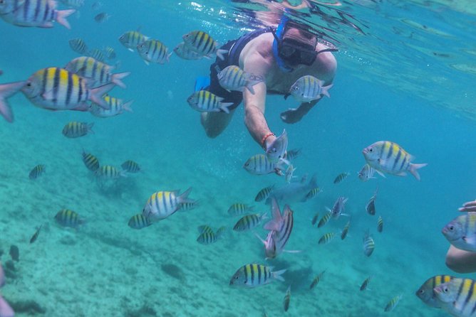 Isla Mujeres Luxury Sailing: Adults Only or Family Friendly - Snorkeling is a short bonus, not the main attraction